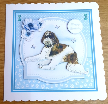 AUSTRALIAN LABRADOODLES by Margaret Scott