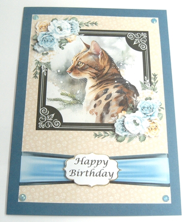 Cats - Bengal 4 by Margaret Scott