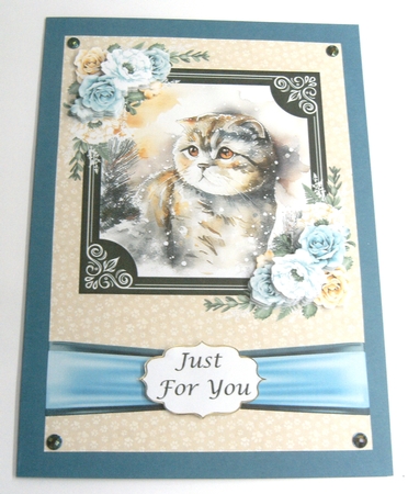 Cats - Scottish Fold 2 by Margaret Scott