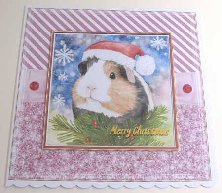 Guinea pig Christmas Card by Margaret Scott