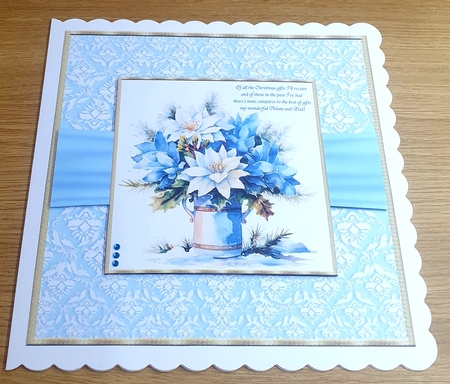 Beautiful Christmas cactus blue by Margaret Scott