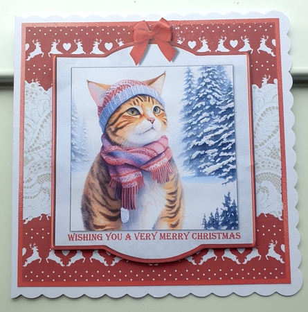Cute Cats in winter clothes card toppers for 8x8 cards by Margaret Scott