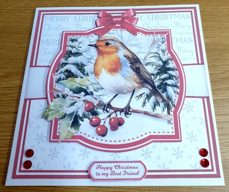 HOLLY ROBINS by Margaret Scott