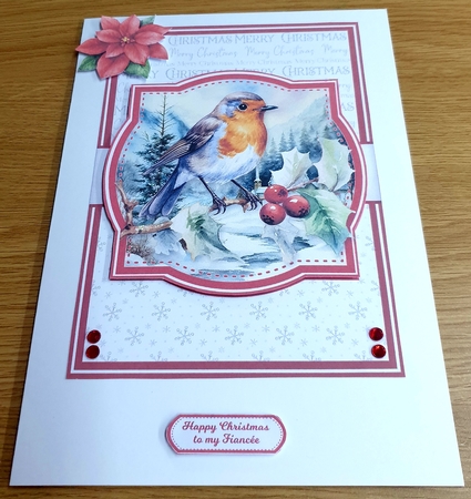 HOLLY ROBINS by Margaret Scott