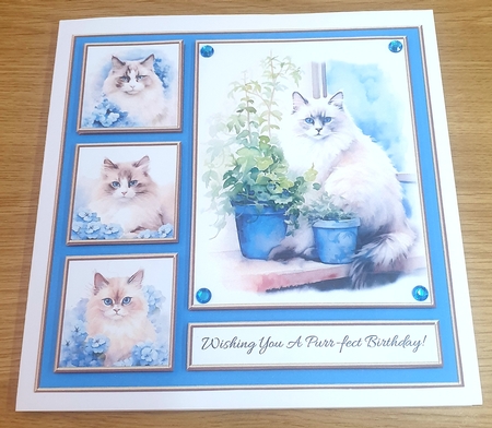 12 Adorable Kitties - Bumper Kit #1 by Margaret Scott