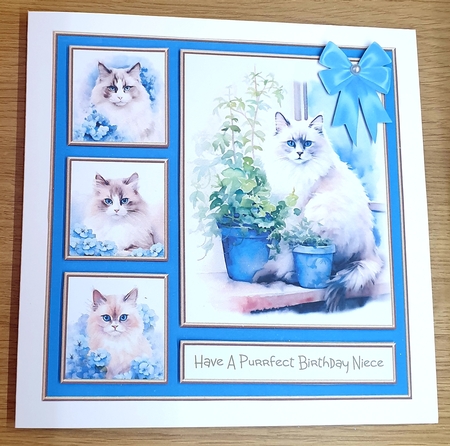 12 Adorable Kitties - Bumper Kit #1 by Margaret Scott
