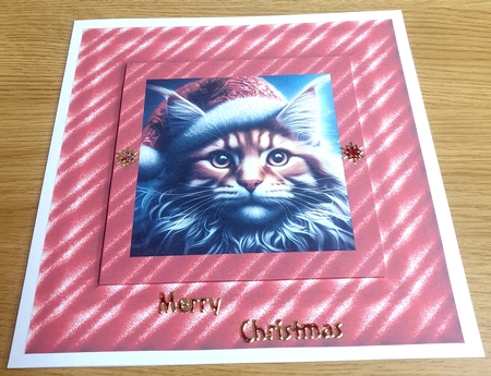 Christmas Hat Cat  by Margaret Scott