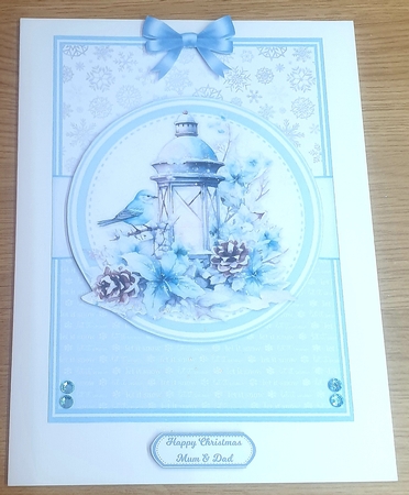 WINTER BLUEBIRDS by Margaret Scott
