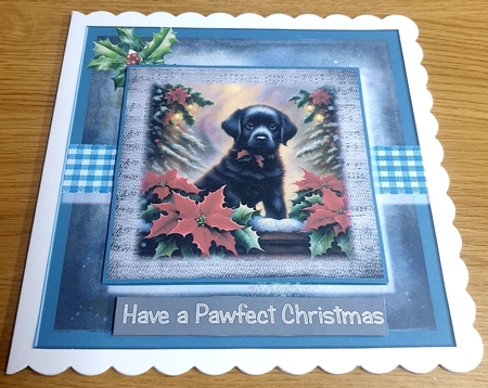Pawfect Christmas by Margaret Scott