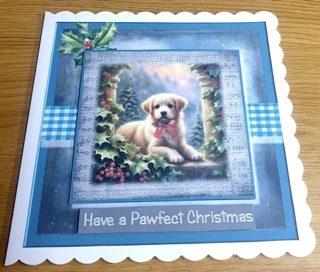 Pawfect Christmas by Margaret Scott