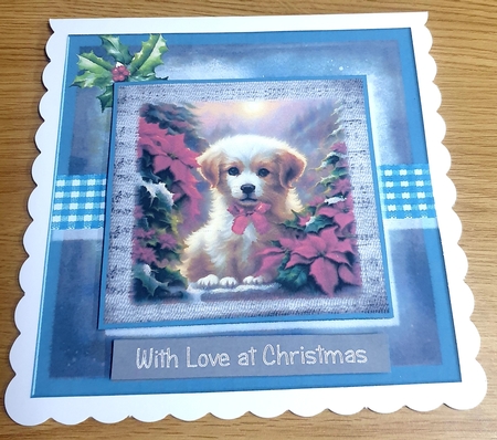 Pawfect Christmas by Margaret Scott