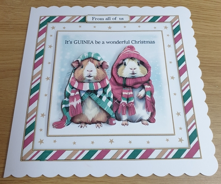 Guinea Pig Christmas by Margaret Scott