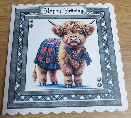 Tartan Highland cow card front 4 by Margaret Scott