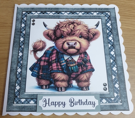 Tartan Highland cow card front 6 by Margaret Scott