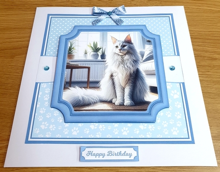 MAINE COON CATS by Margaret Scott