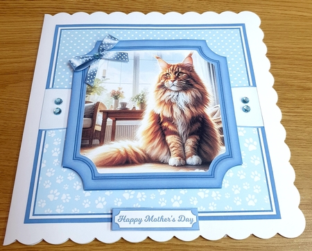 MAINE COON CATS by Margaret Scott