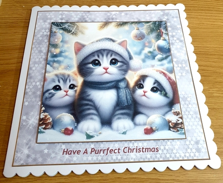 Cute kittens  by Margaret Scott