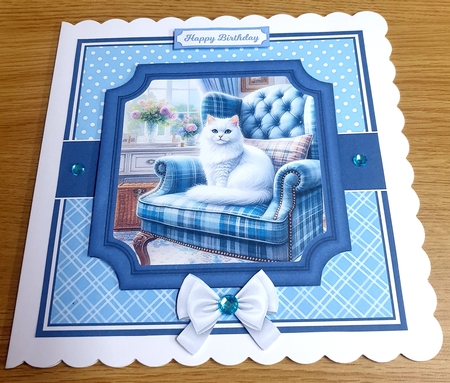 CLASSY CATS by Margaret Scott
