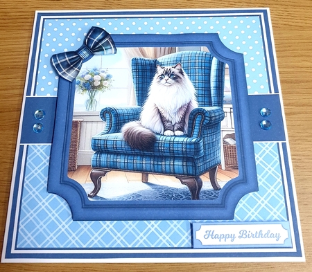 CLASSY CATS by Margaret Scott