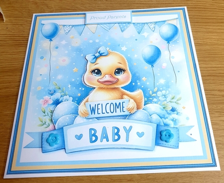 Baby duck 7x7 and toppers by Margaret Scott