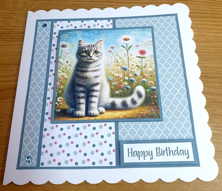 Silver Tabby 2 by Margaret Scott