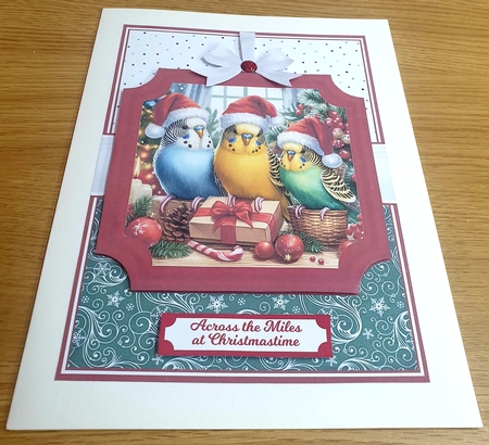 CHRISTMAS BUDGIES by Margaret Scott