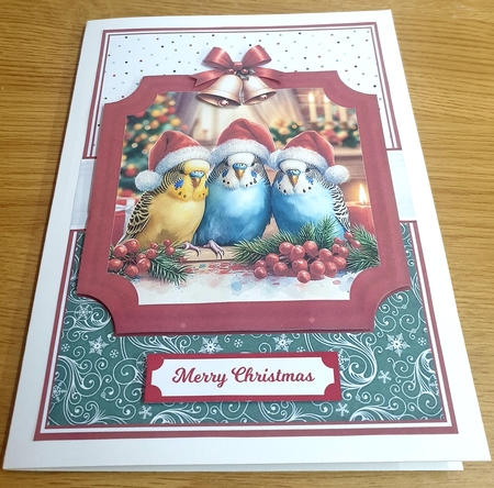 CHRISTMAS BUDGIES by Margaret Scott