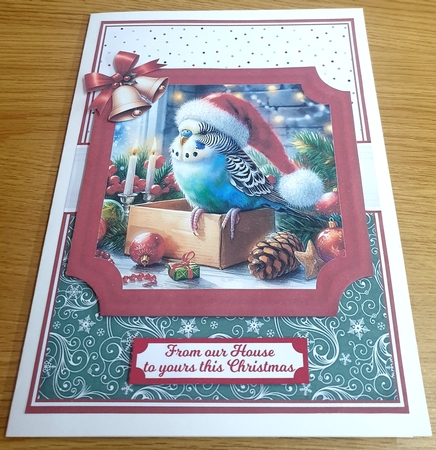 CHRISTMAS BUDGIES by Margaret Scott