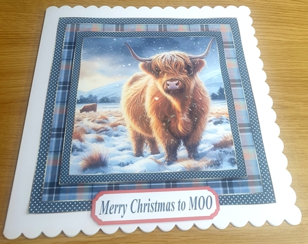 Blue check framed Christmas Highland cow card front 1 by Margaret Scott