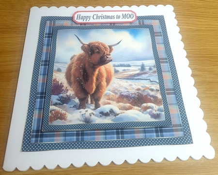 Blue check framed Christmas Highland cow card front 2 by Margaret Scott