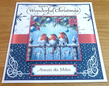 The Robin Choir by Margaret Scott