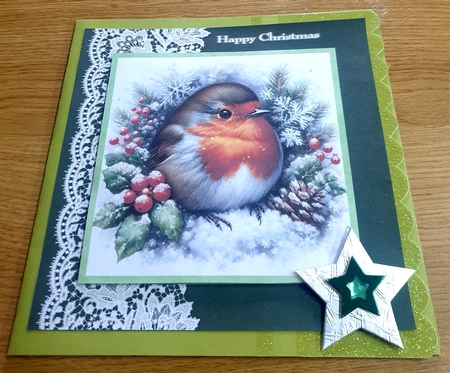 Robins by Margaret Scott