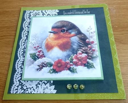 Robins by Margaret Scott