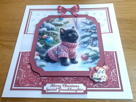 CATCHING SNOWFLAKES by Margaret Scott
