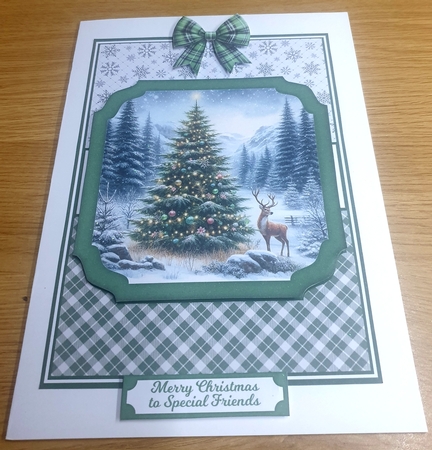 WILD CHRISTMAS by Margaret Scott