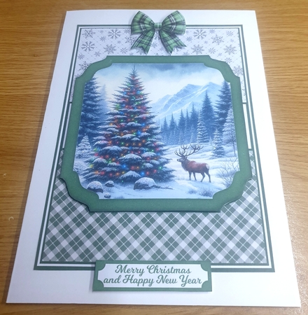WILD CHRISTMAS by Margaret Scott