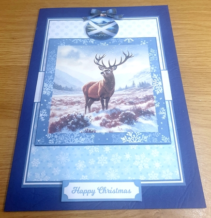 WILD SCOTLAND IN WINTER by Margaret Scott