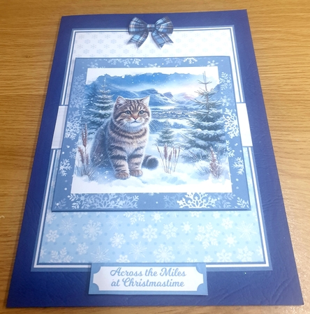 WILD SCOTLAND IN WINTER by Margaret Scott