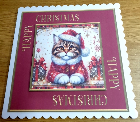 Santa Claws 1 by Margaret Scott