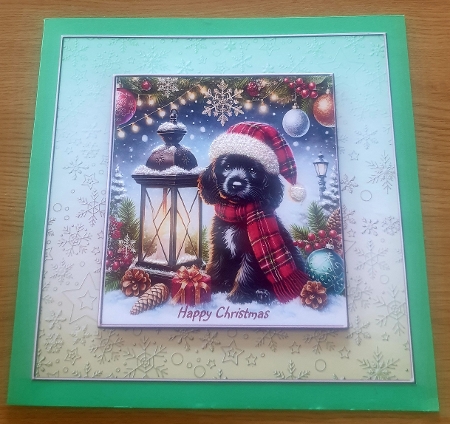 Tartan Tails In The Snow 15 by Margaret Scott