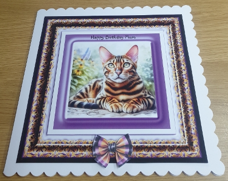 Bengals  by Margaret Scott