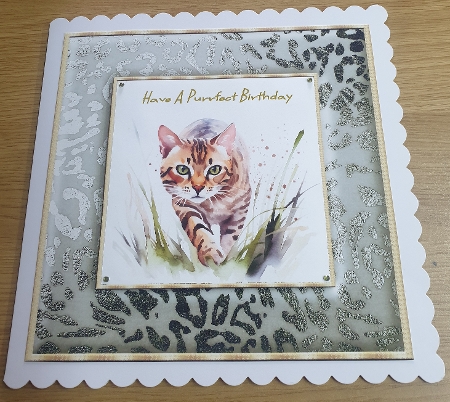Leopard Print Frames-autumn Fall light by Margaret Scott