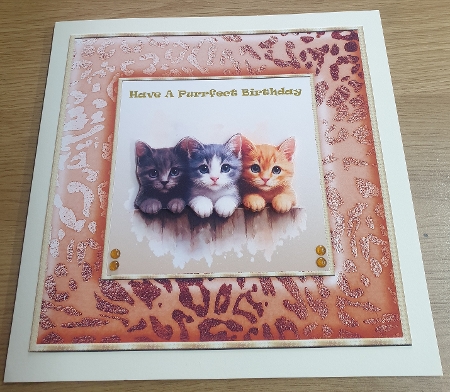 Leopard Print Frames-autumn Fall light by Margaret Scott