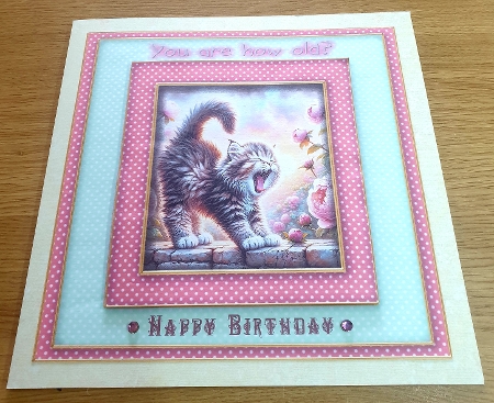 Sceaming Birthday Cat - Illustrations for Cards by Margaret Scott