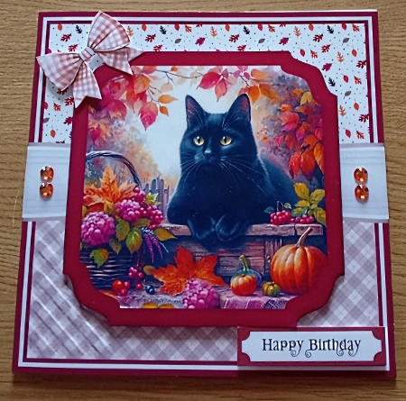 AUTUMN GARDEN CAT 6x6 5x7 by Margaret Scott