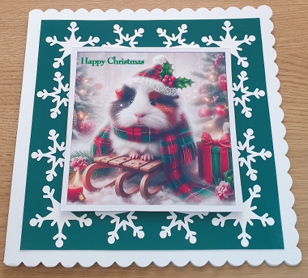 Vintage Christmas Snowflake Frames Set 2 by Margaret Scott