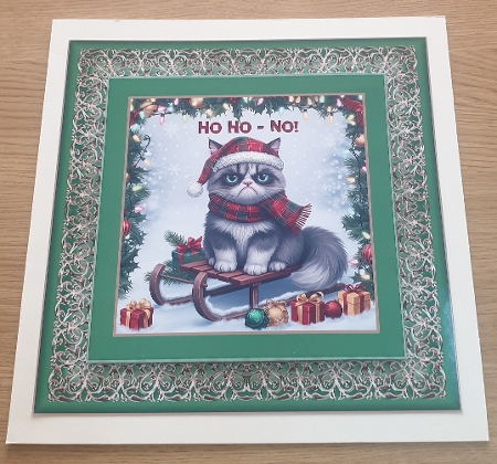 Festive Grumpy Cats  by Margaret Scott