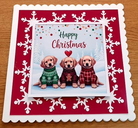 Pawsitively Christmas 12 by Margaret Scott