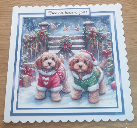 cockapoos at christmas by Margaret Scott