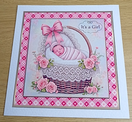Gorgeous 12 x 8x8ins Floral Frames kit 1 by Margaret Scott